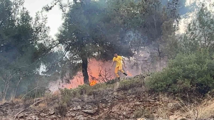 Hatay’da ormanlık alanda çıkan yangın evlere sıçramadan söndürüldü
