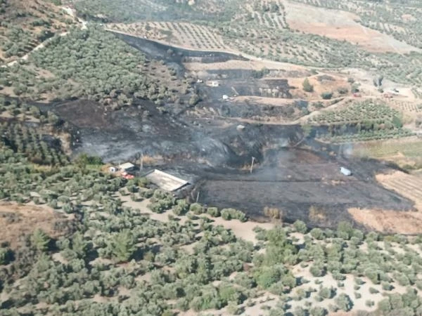 Hatay'da, zeytinlikte çıkan yangın ormana sıçradı (2)