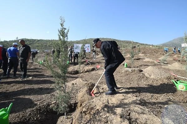 Hatay, geleceğe nefes oldu