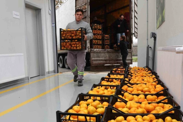 Hatay’ın mandalinasına Nilüfer desteği
