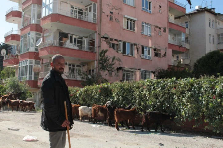 Hatay sokakları keçilere kaldı