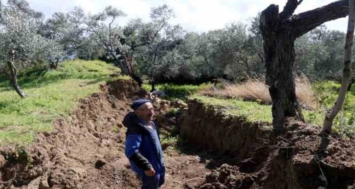 Hatay’da dev fay yarıkları ve çukurlar ağaçları yuttu