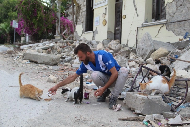 Hatay'da yaklaşık 10 bin depremzede 'can dost' mama desteği bekliyor