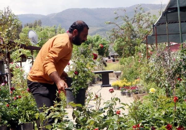 Hataylı çiçekçilerin zorlu mesaisi: Artık sadece mezarlığa giden çiçekleri satıyoruz