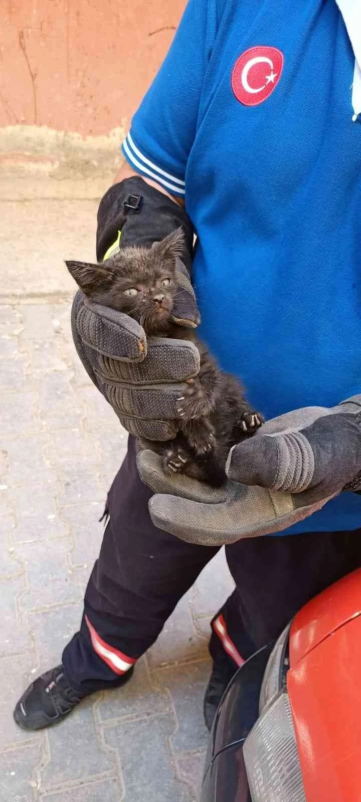 Havalandırma boşluğuna düşen yavru kedi itfaiye ekiplerince kurtarıldı
