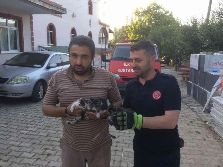 Havalandırma boşluğuna düşen yavru kedileri itfaiye ekipleri kurtardı
