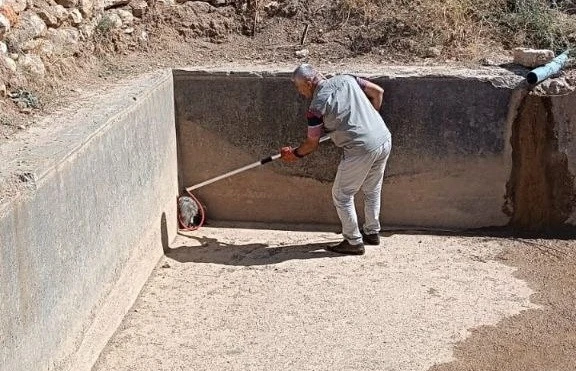 Havuzdan çıkamayan porsuğu ekipler kurtardı
