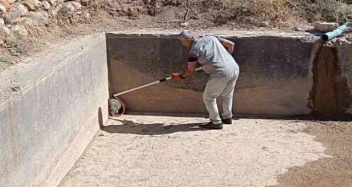 Havuzdan çıkamayan porsuğu ekipler kurtardı