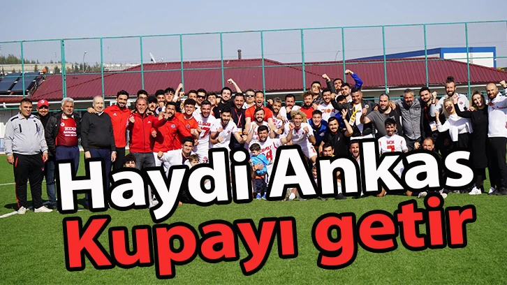 Haydi Ankas kupayı getir