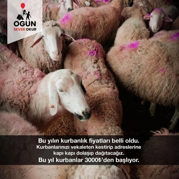 Hayırsever Okur, ihtiyaç sahipleri için kurban bağışı topluyor
