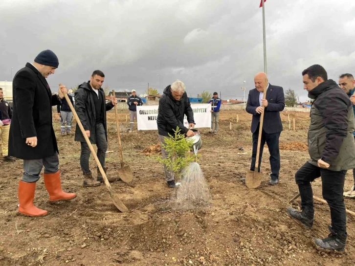 Hayrabolu’da "100. Yıl Cumhuriyet Ormanı" oluşturuldu
