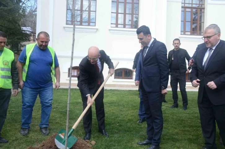 Hazine ve Maliye Bakanı Mehmet Şimşek Bilecik’te çınar fidesi dikti
