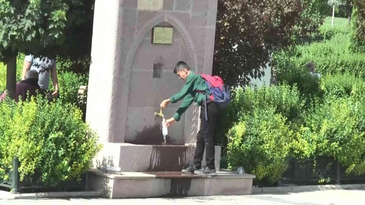 Herkes sıcak havalardan şikayet ederken, onlar kavurucu sıcaklardan memnun
