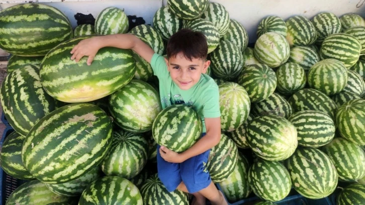 ’Hıdıroz’ karpuzu tezgahlardaki yerini aldı
