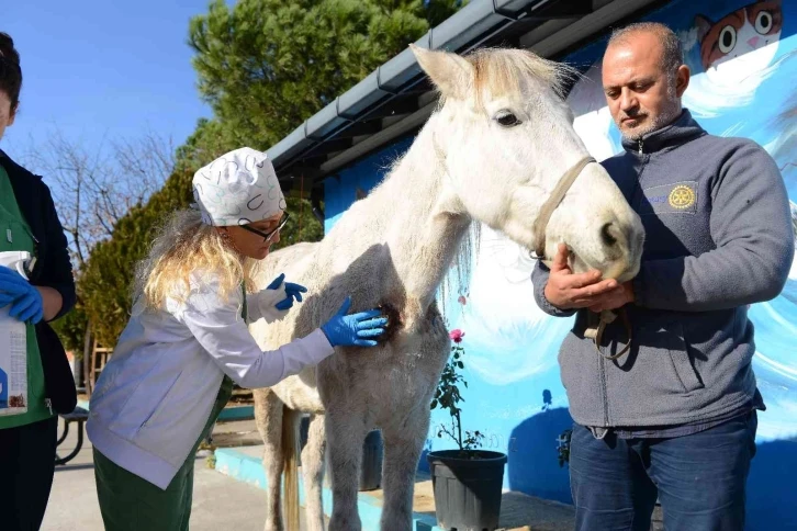 Hırsızlık yapanlar şiddet uygulayıp ölüme terk etti... Belediye sahip çıktı
