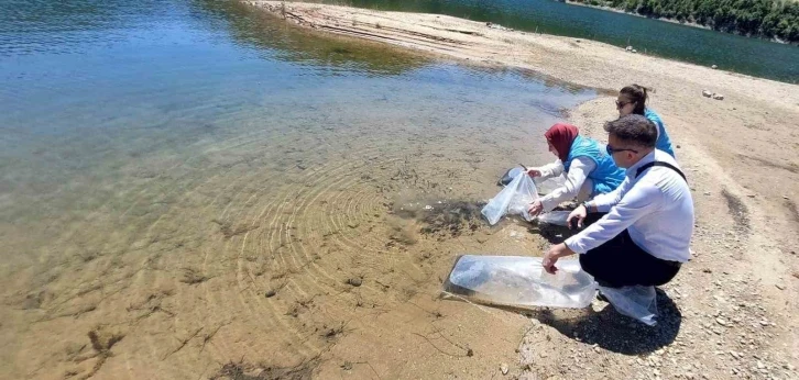 Hisarcık’ta baraj ve göletlere 60 bin yavru sazan balığı bırakıldı
