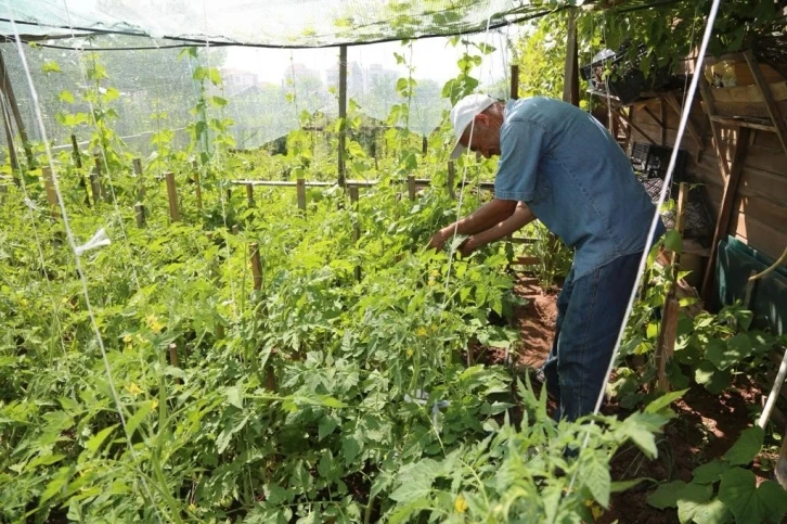 Hobi bahçesi başvuruları 17 Ocak’ta başlıyor
