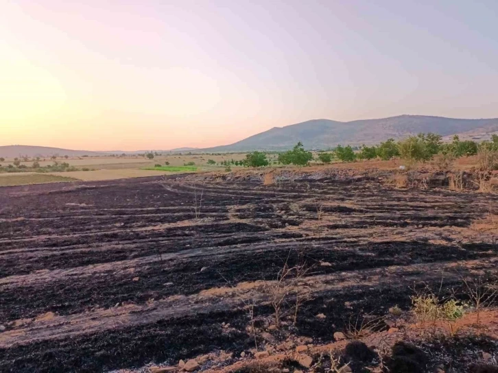 Hüyük’te arpa ekili arazi alevlere teslim oldu
