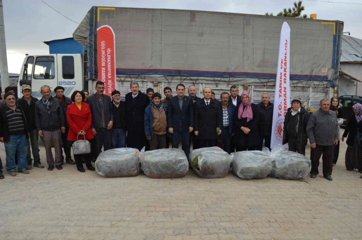 Hüyük’te üreticilere 170 bin adet lavanda fidesi dağıtıldı
