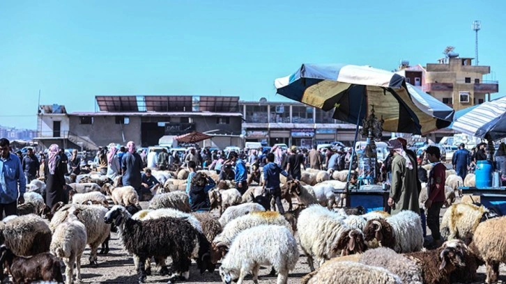 İdlib'de kurulan kurban pazarlarında hareketlilik başladı