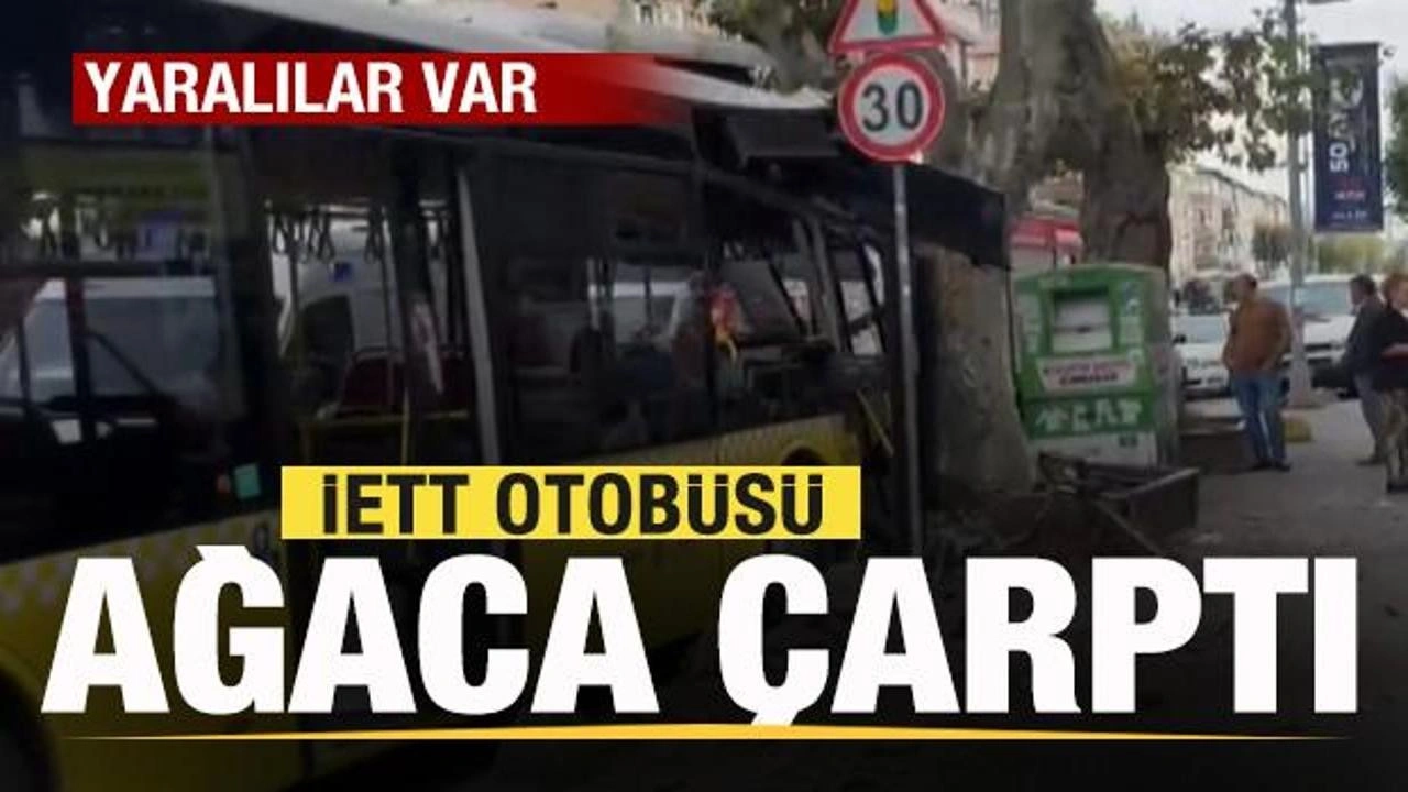 İETT otobüsü ağaca çarptı! Yaralılar var