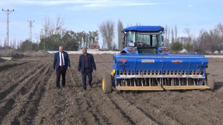 Iğdır’da yerli ve milli buğday ekildi
