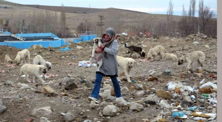 İki arkadaş hayatlarını can yoldaşlarına adadı
