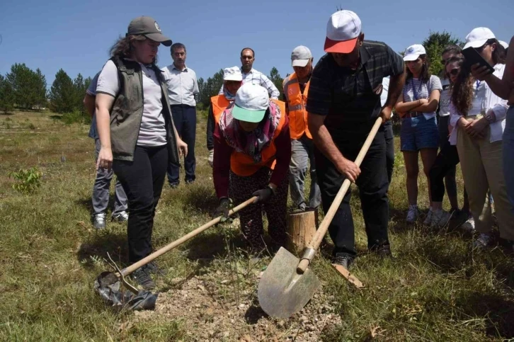 “İklimin Geleceği: Geleceğin İklimi” proje ekibi fidan dikti
