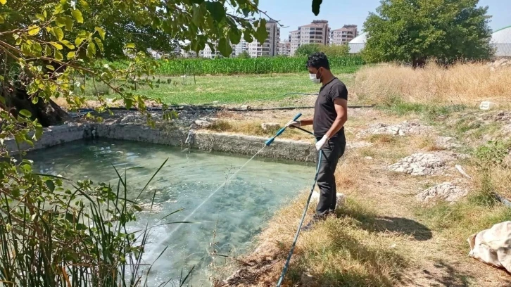 İlaçlama çalışmaları devam ediyor
