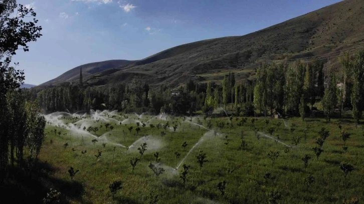 İlçe Tarım Müdürlüğü’nden “Gece sulaması” uyarısı
