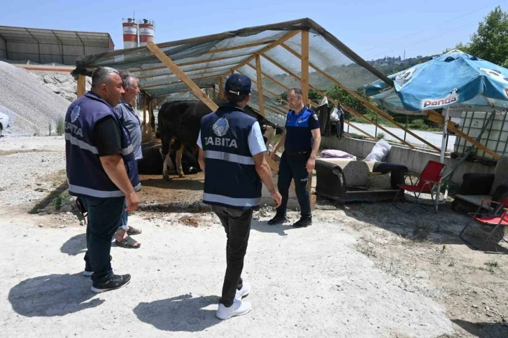 İlkadım zabıtası kurban denetimlerini artırdı
