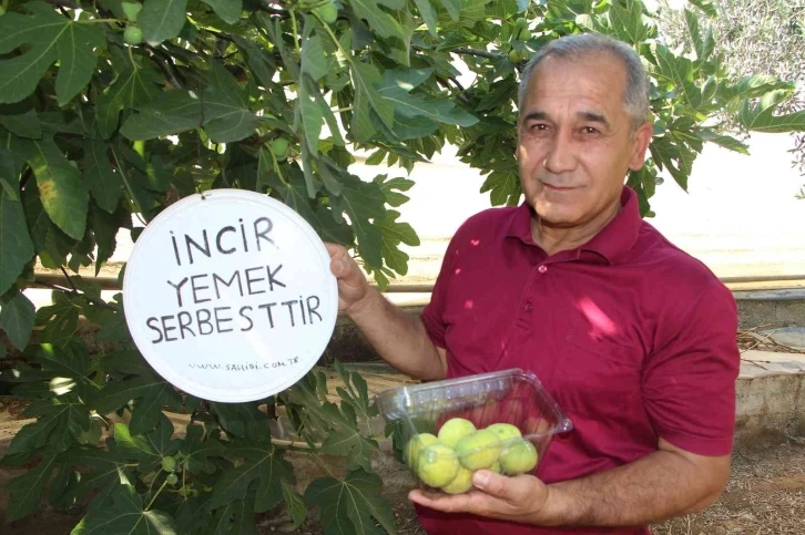 İncirlerini herkes yesin diye tabela astı, duasını şehitlere istedi
