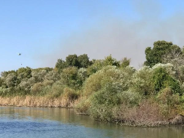 Irmak kıyısında sazlık yangını söndürüldü