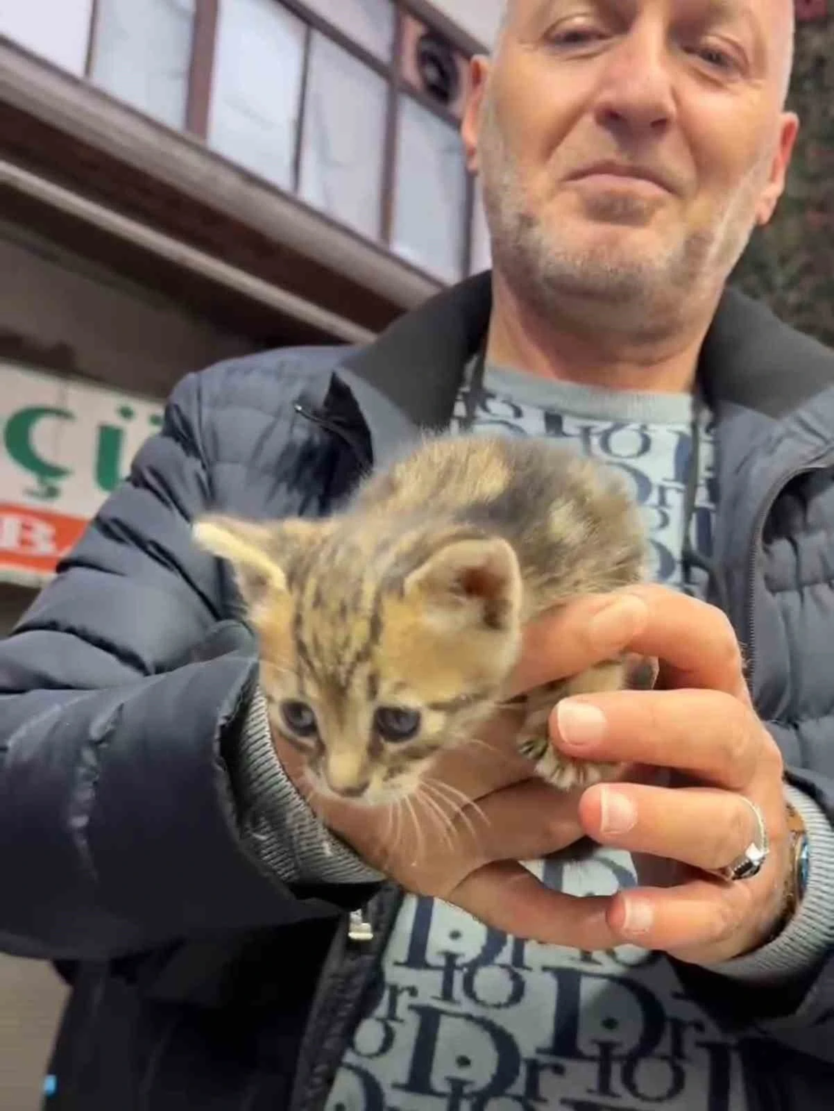 İş yerinde sıkışan kediyi itfaiye kurtardı
