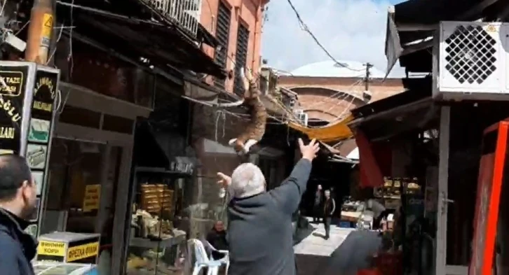 İş yerinin tabelasında mahsur kalan kediyi kurtarmak için seferber oldular
