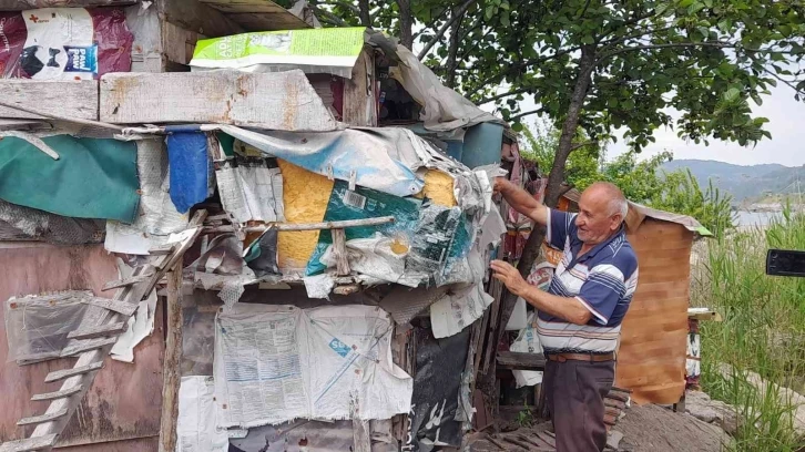 İşçi emeklisi ömrünü kedilere adadı, evlat özlemini sokak kedileriyle gideriyor
