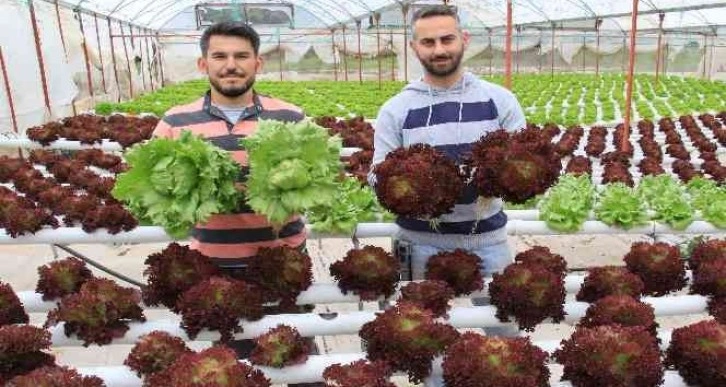 İşçiliği bırakıp çiftçiliğe başladılar, yılda 8 hasat yapıyorlar