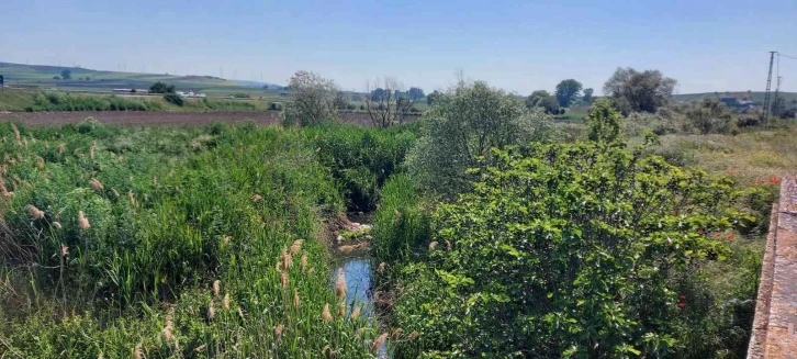 İSKİ yalanlamıştı, Kınıklı Deresi’ne akan pis sular böyle görüntülendi
