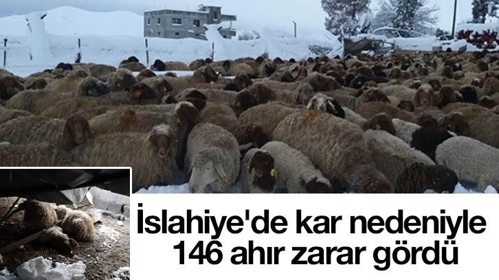 İslahiye'de kar nedeniyle 146 ahır zarar gördü