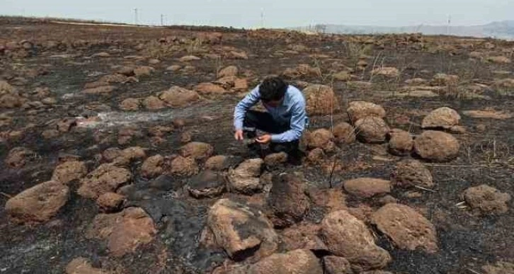 İslahiye’deki tarla yangını en büyük darbeyi çiftçiye vurdu