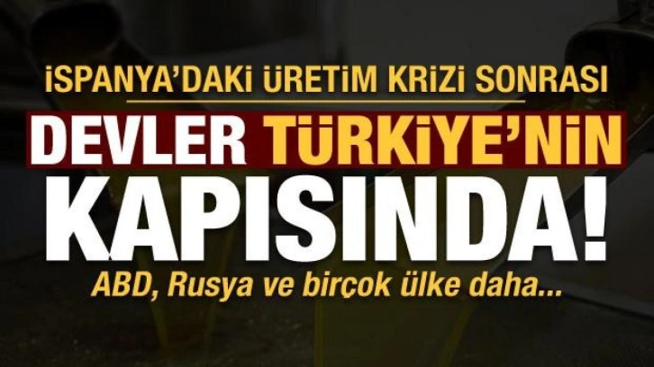 İspanya'da zeytinyağı krizi: ABD, Rusya ve birçok ülke rotayı Türkiye'ye çevirdi!