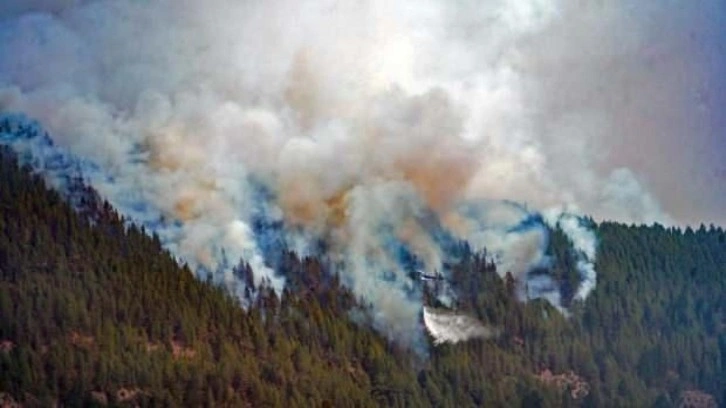 İspanya’daki orman yangınları söndürülemiyor: Alevler 60 metre yüksekliğe ulaştı