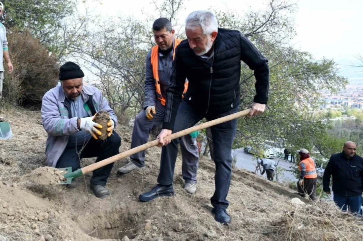 Isparta’da 2023 adet ağaç fidanını toprakla buluştu
