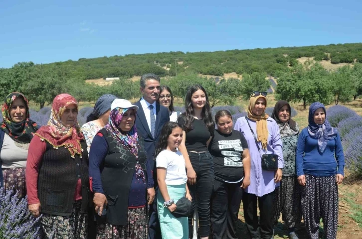 Isparta lavanta festivaline hazırlanıyor
