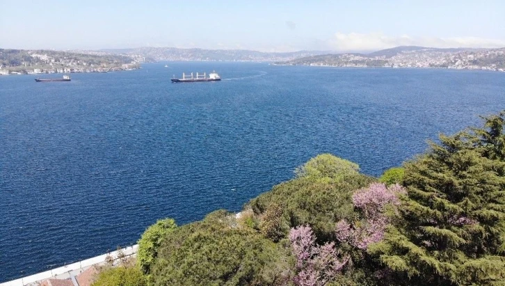 İstanbul Boğazı’nda çiçek açan erguvanlar kartpostallık görüntüler oluşturdu
