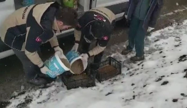 İstanbul'da mola veren leylekler için yem dağıtıldı