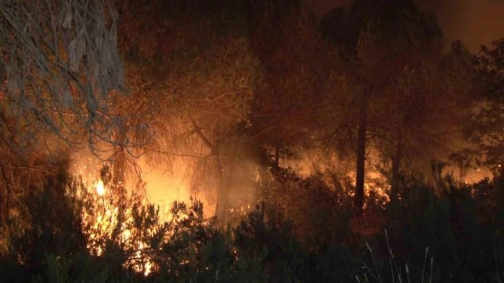 İstanbul'da orman yangını