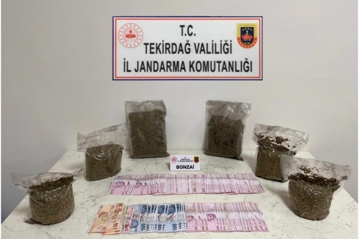 İstanbul'dan gelen 3 kilo bonzai şehre girmeden yakalandı