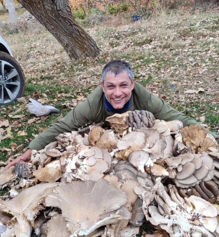 İstiridye mantarları görenleri şaşırttı
