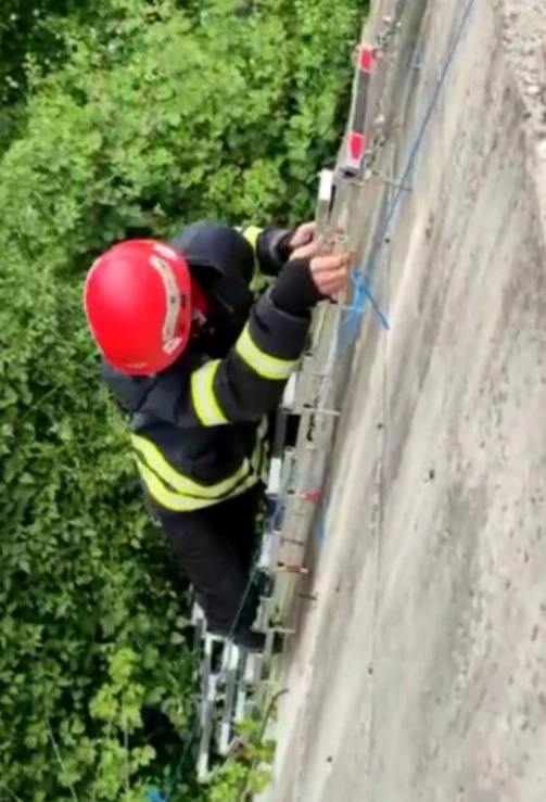 İtfaiye ekiplerinden ’tavuk kurtarma’ operasyonu
